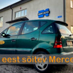 300 euro challenge - Hort Auto kontroll